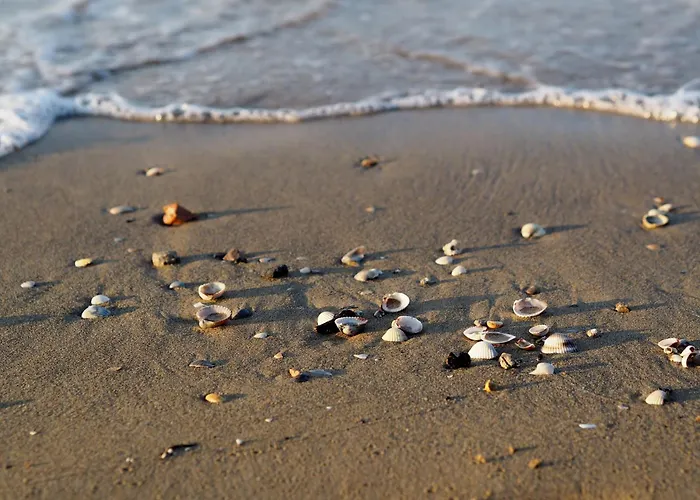 Beachfront With A Big Terrace - Beahost 比比翁